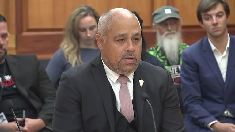 Labour MP Peeni Henare.