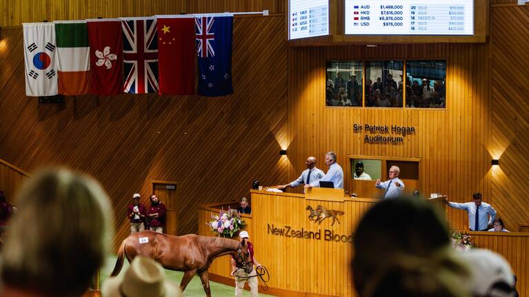Lot 21 went for a record $1.6 million.