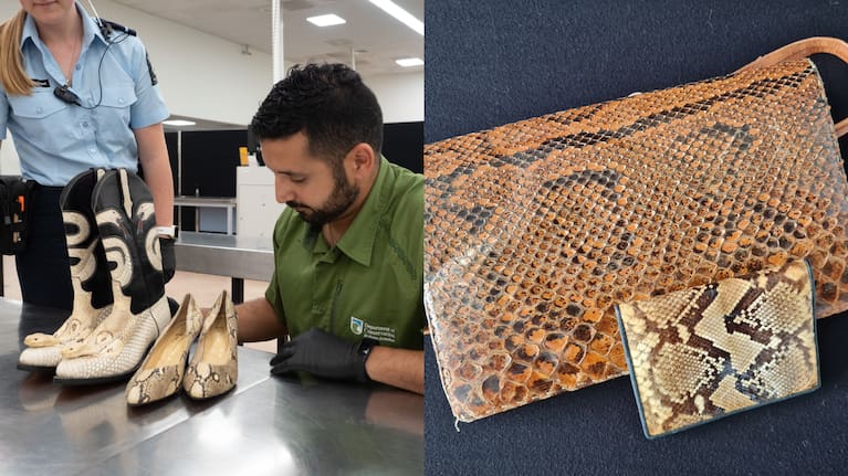 Luxury handbags and boots made from python and crocodile skin.