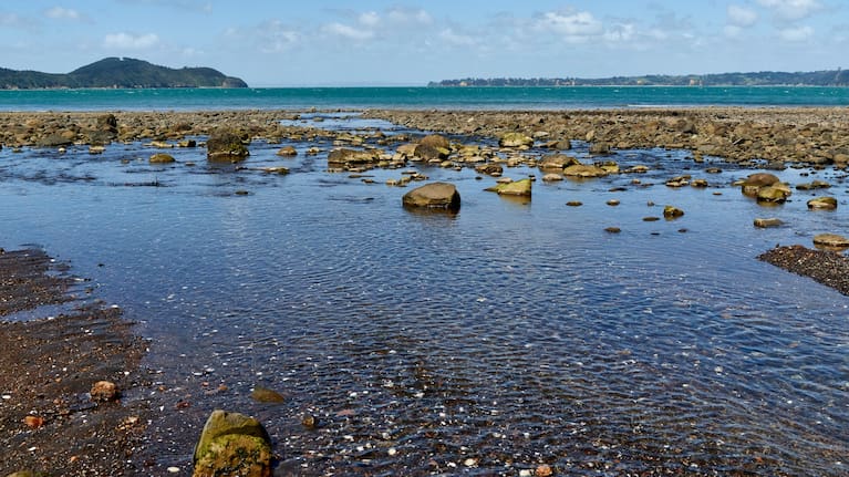 Manukau Heads (file image).