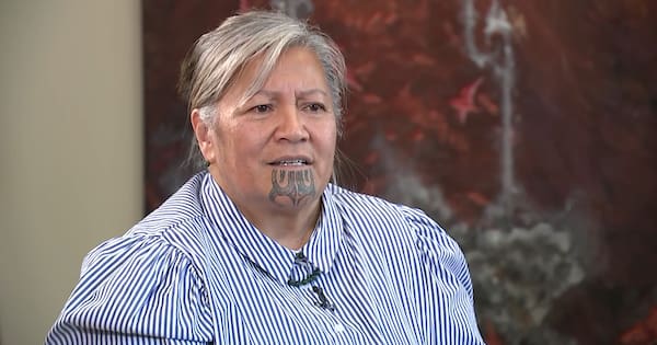 Demoted Te Pāti Māori MP speaks out ahead of party ‘reset’