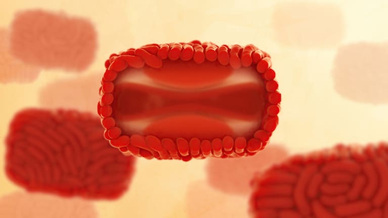 Medical illustration of mpox virus particles