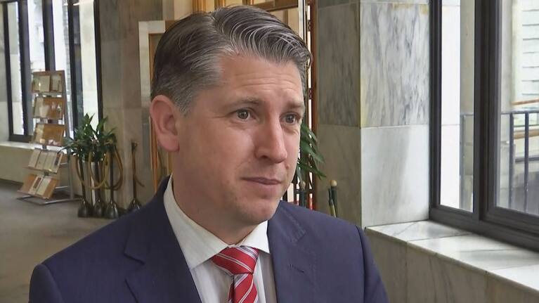 Immigration Minister Michael Wood.