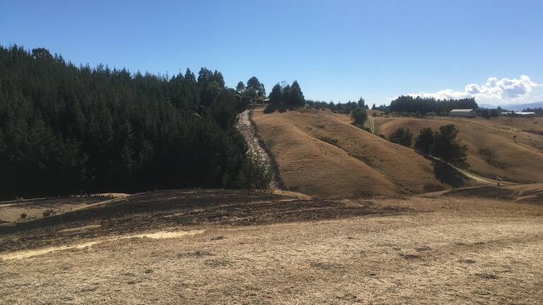 Cordons remain in place after fire breaks out on Moutere Highway