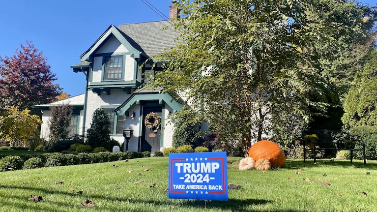 A front lawn in Nassau County, Long Island , a part of the US where Trump was overwhelmingly supported in 2020.