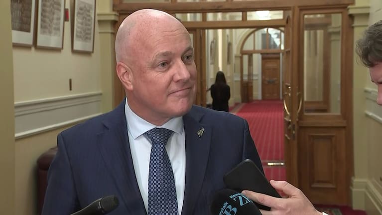 Prime Minister Christopher Luxon.