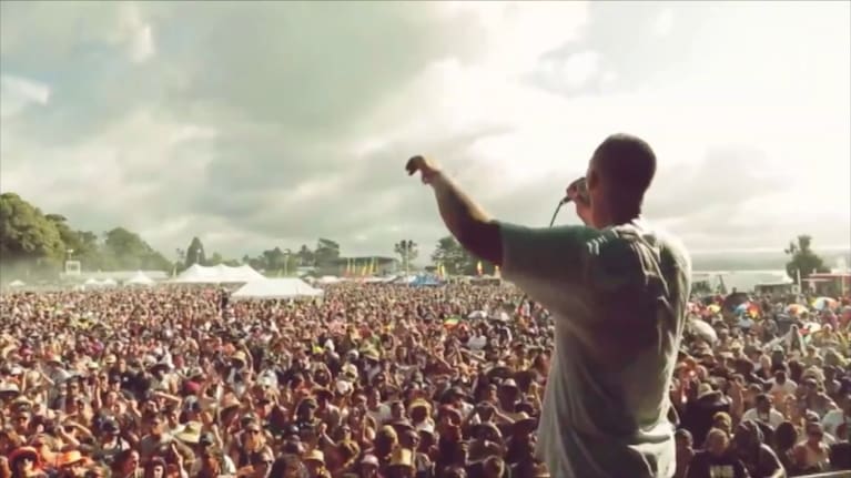 New Zealand's largest reggae festival, One Love, has been cancelled for 2026.