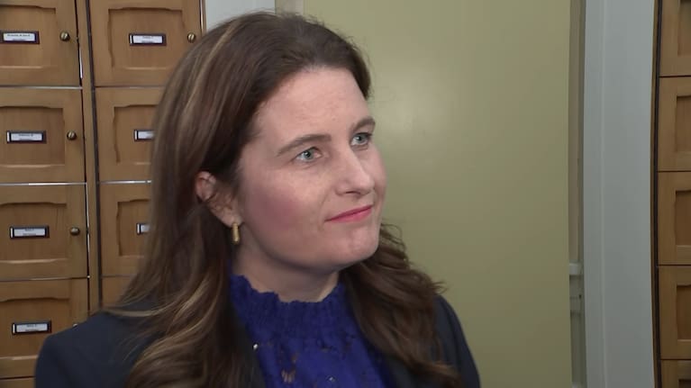 Finance Minister Nicola Willis says the 2024 Budget will introduce “meaningful but modest” tax relief.