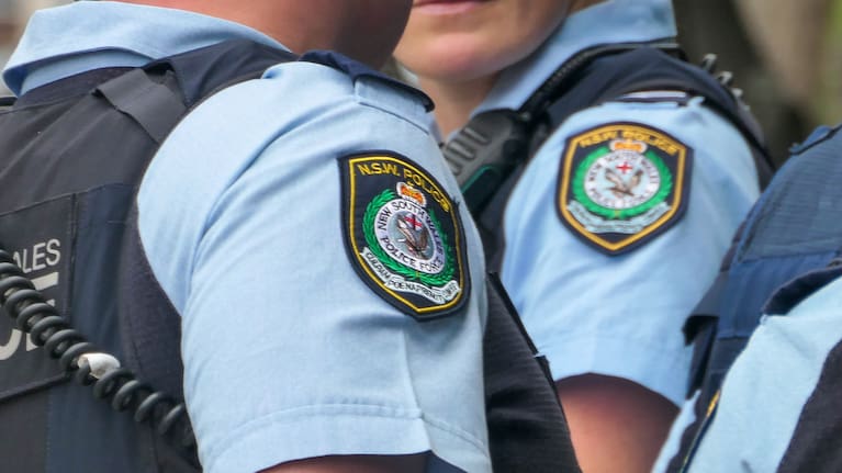 New South Wales Police (file image).