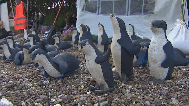 The Department of Conservation didn't put in a submission on the resource consent despite being asked to by the Auckland Council.