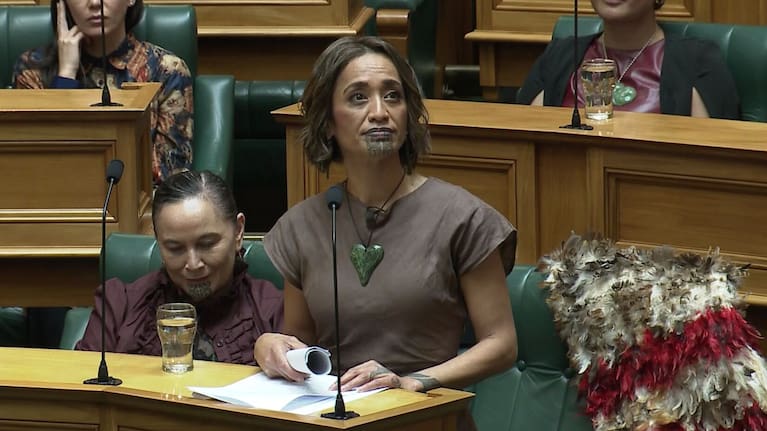 Oriini Kaipara took the Tāmaki Makaurau seat.
