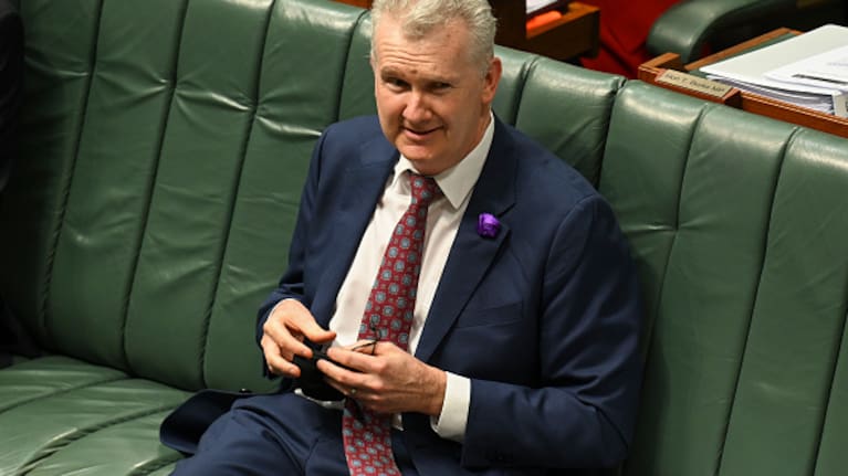 Australian Arts Minister Tony Burke.