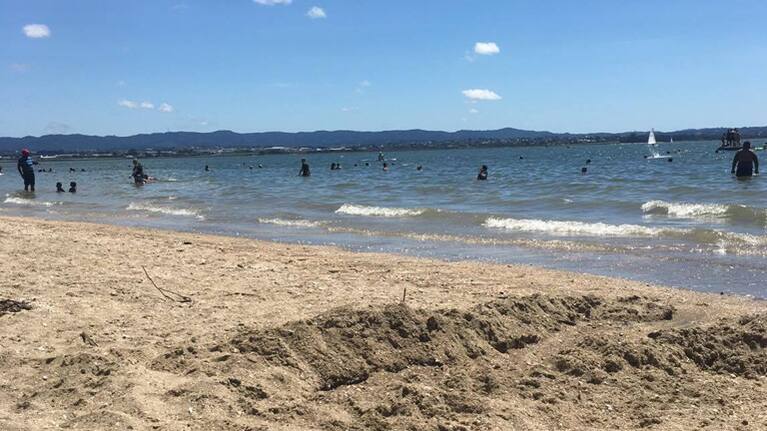 Point Chevalier Beach in Auckland.