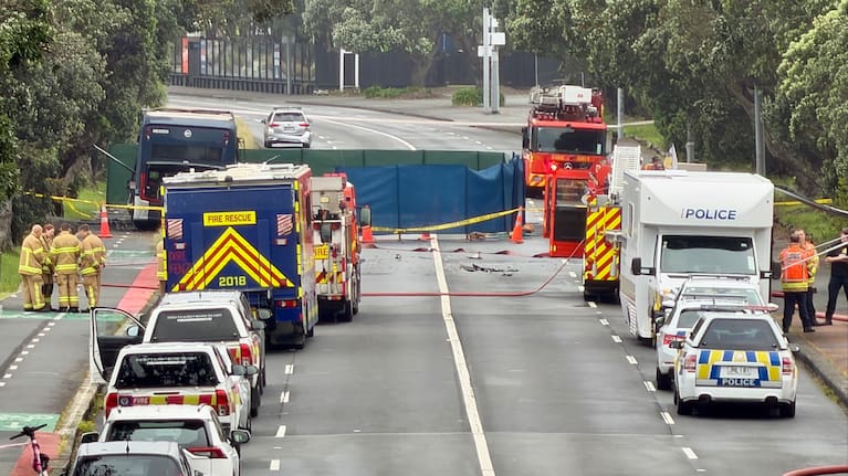 Police and fire staff on Tamaki Drive