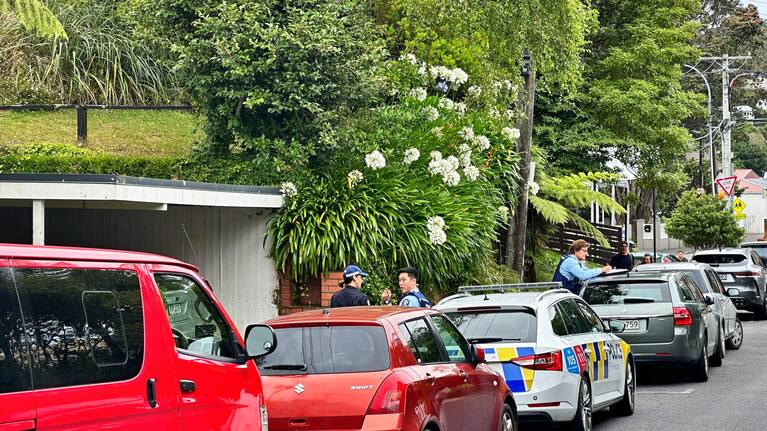 Police at the scene on Baroda St, Khandallah.