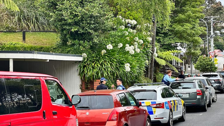 Police at the scene on Baroda St, Khandallah.