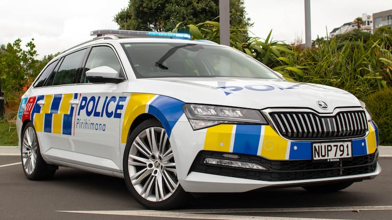A police car (file).