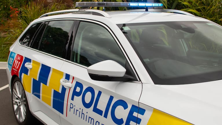 A police car (file).