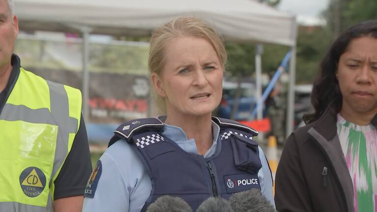 Police Eastern District commander superintendent Jeanette Park.