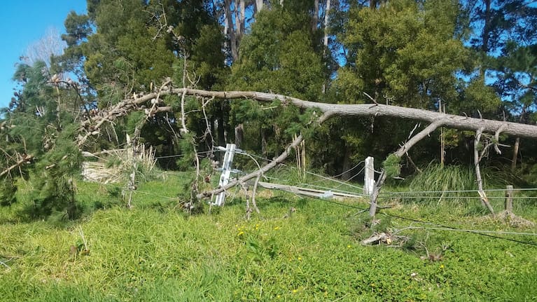 Power lines down at a section of lines north of Whangamatā.