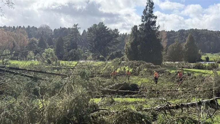 Power teams at work in Greymouth.