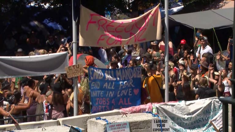 Protest camp at Parliament.