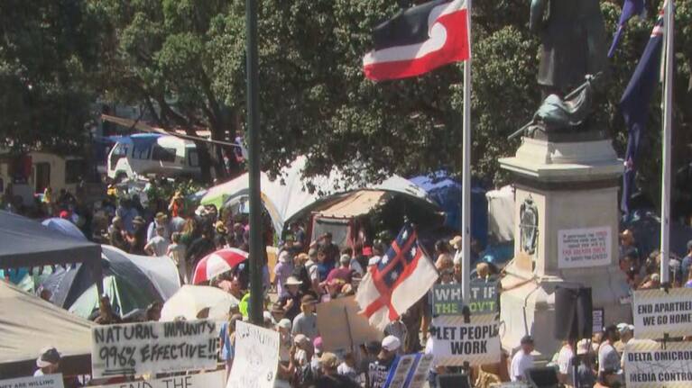 The tino rangatiratanga flag flying on day 10 of the protest