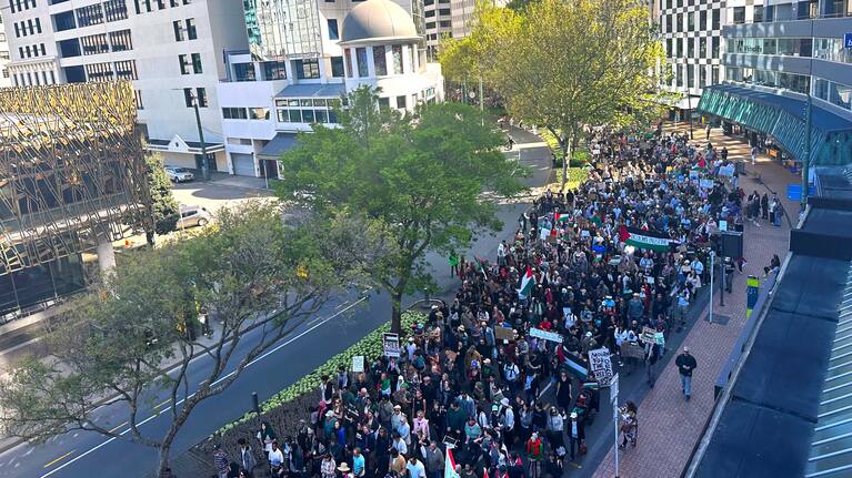 Protesters march to Parliament in Wellington.