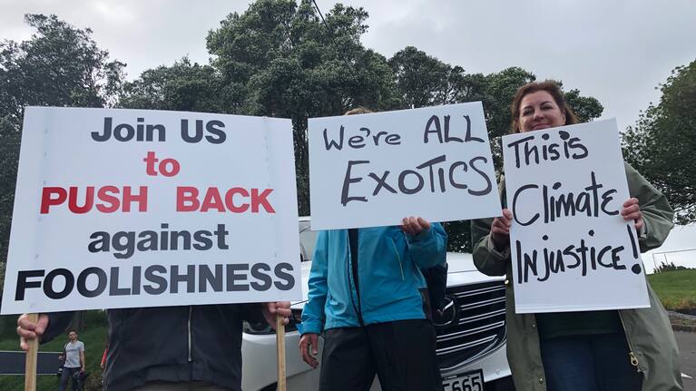 Protestors at Mt Albert in Auckland standing against the planned felling of over 300 exotic trees