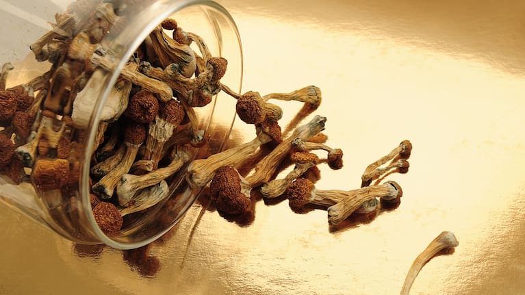 Psilocybin, also known as magic mushrooms (file image).