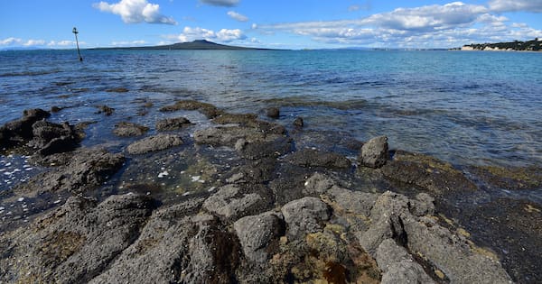 Bill to protect Hauraki Gulf passes