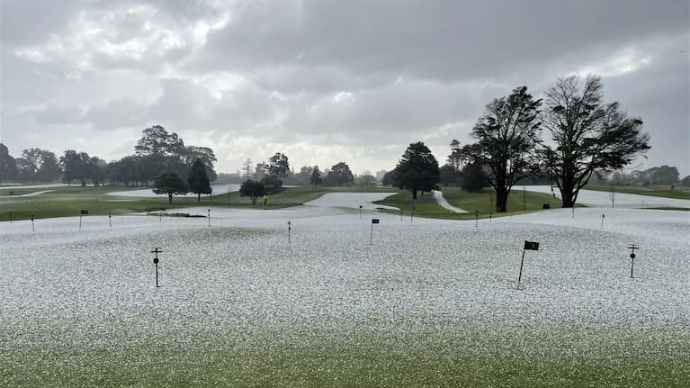 Royal Auckland & Grange Golf course. (Source: Neil Cotton).