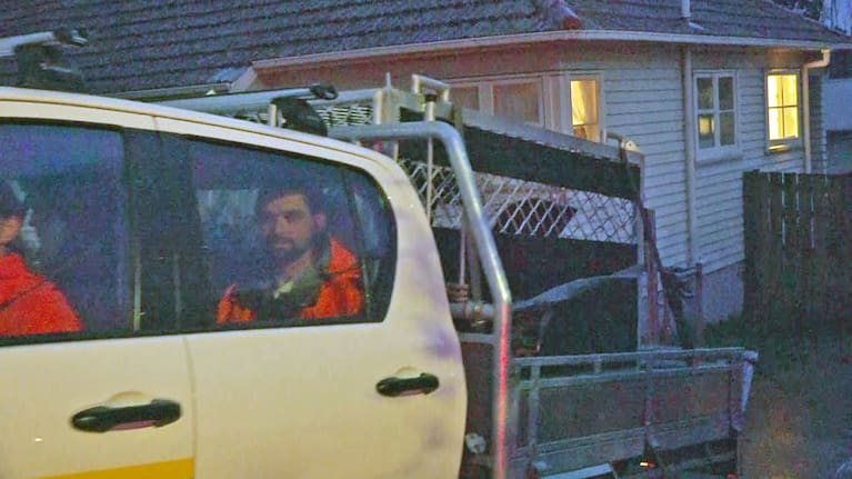 Runaway seal captured in Papakura by DOC workers.