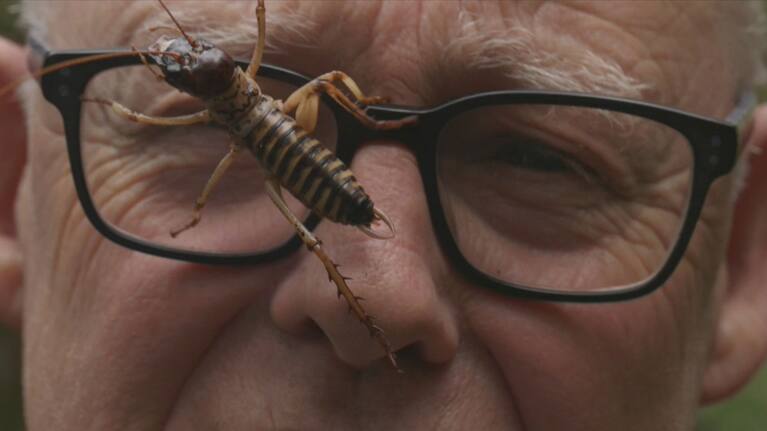 Ruud Kleinpaste and a weta
