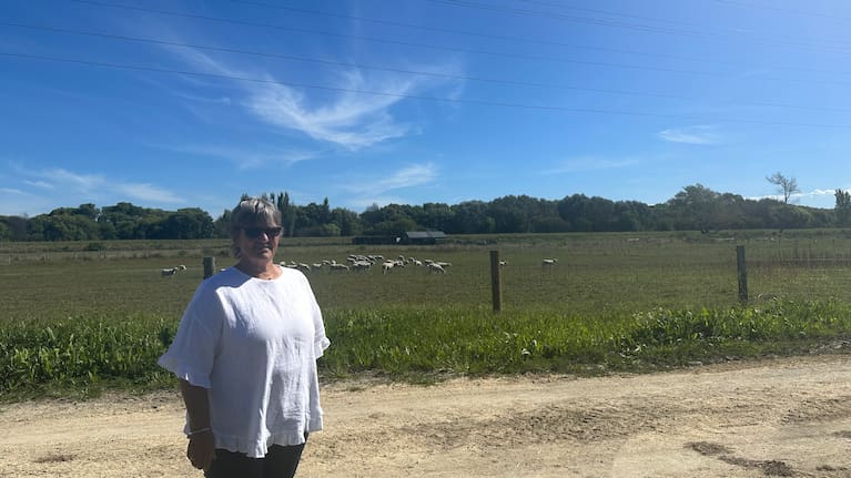 Sally Prins is pleased to see grass and sheep grazing again at her farm a year after Cyclone Gabrielle.