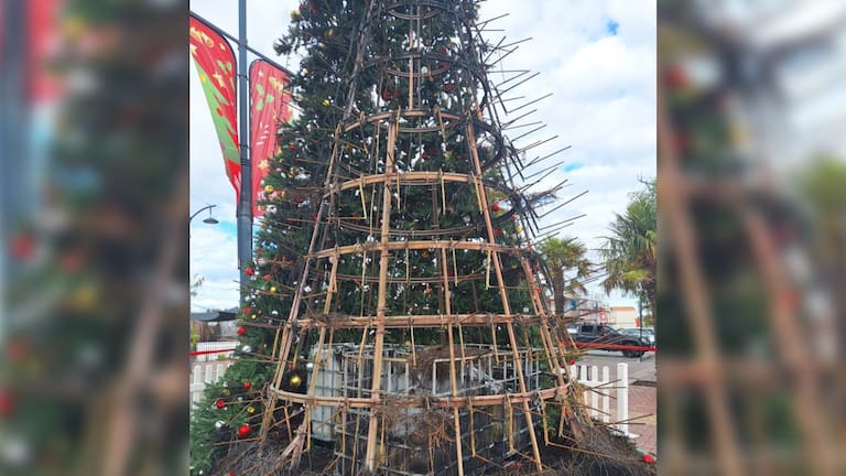 "Significant fire damage" to Timaru's Christmas tree.