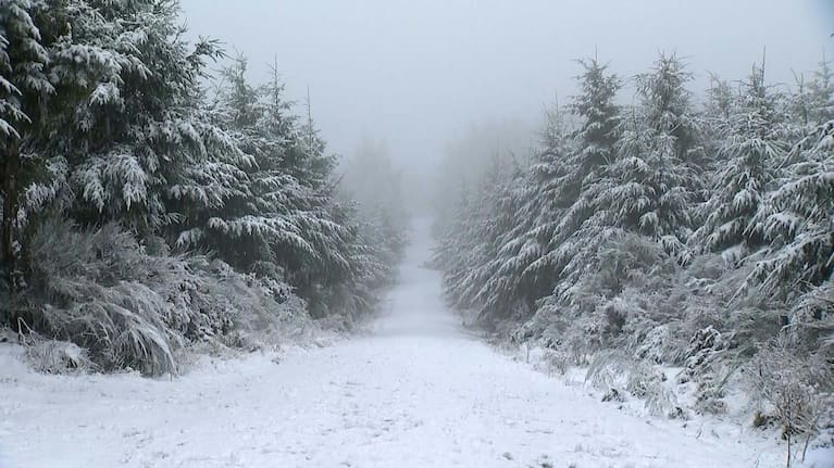 Snow disrupts roads in Canterbury and Otago.