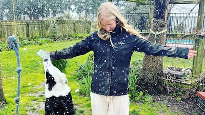 Snow falling in Masterton