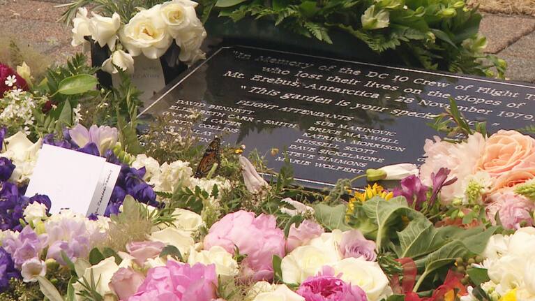Some of the 20 monarch butterflies released to mark the Erebus anniversary stayed to feed at the flowers by the Auckland Airport memorial.