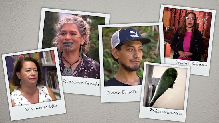 Some of the main players in the hunt for Pokaiwhenua.