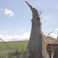 It comes after extreme winds on Thursday toppled trees and powerlines, and knocked out power, water and communications.