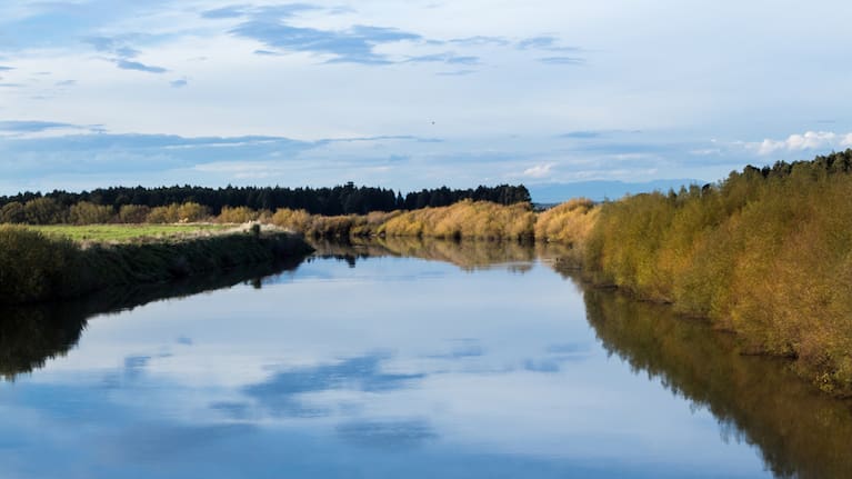Manawatū River