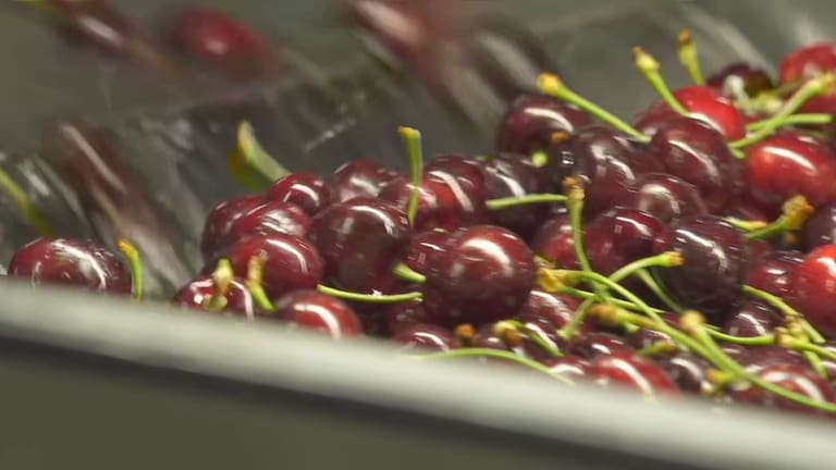 Demand for work is far greater than in previous years.