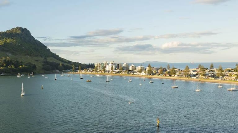 Tauranga Harbour (file picture).
