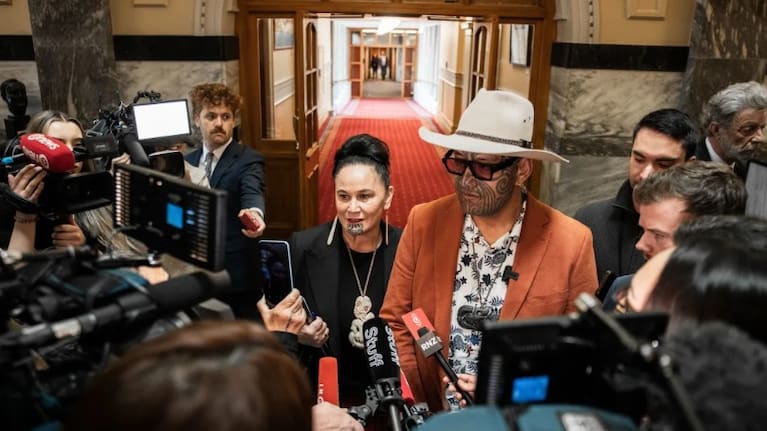 Te Pāti Māori co-leaders Debbie Ngarewa-Packer and Rawiri Waititi.