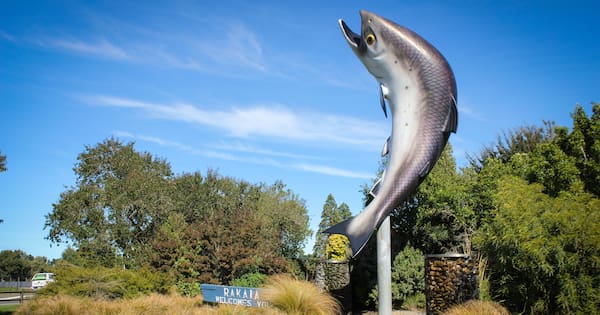 Rakaia Salmon on hook for $300,000 makeover