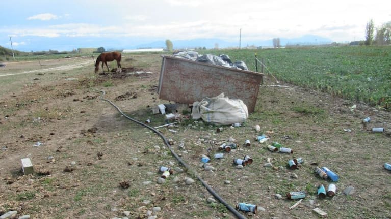 The animals were kept in a paddock described as "rundown" and covered with rubbish.
