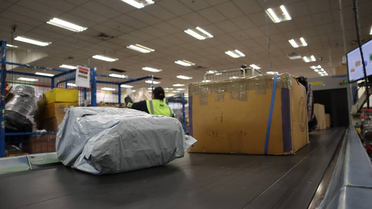 The Department of Conservation says since lockdown they are seeing an increase in seizures at the mail centre due to people buying products online - and not looking at what's inside them.