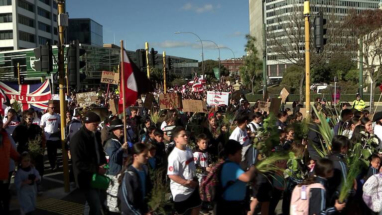The hīkoi began with marchers gathering at the Wellington railway station.