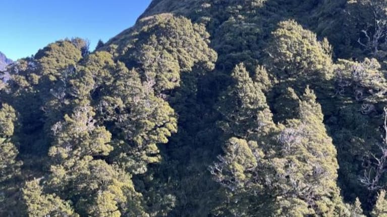 The solo tramper failed to return after a planned day trip to climb Mitre Peak.